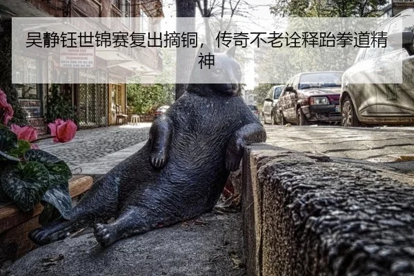 吴静钰世锦赛复出摘铜，传奇不老诠释跆拳道精神